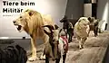Una muestra de animales en el ejército