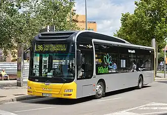 Man Lion,s City Hybrid.