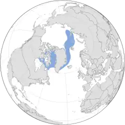 Distribución mundial del narval