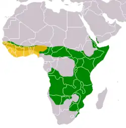 alt=Verde: Mungos mungo Amarillo: Mungos gambianus