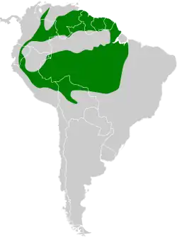 Distribución geográfica del hormiguero cejiblanco.