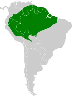 Distribución geográfica del hormiguerito gris.