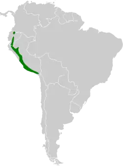 Distribución geográfica del colibrí de Myrtis