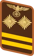 Parche de cuello de un Hauptbereitschaftsleiter.