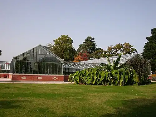 Invernaderos tropicales