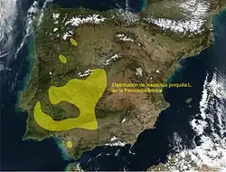 distribución natural