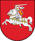 Escudo de Lituania (1990-1991)[23]​[24]​[25]​[26]​