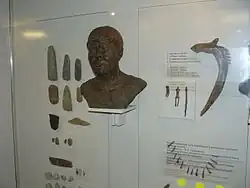 Artefactos y reconstrucción de cazadores-recolectores orientales de la isla Yuzhny Oleny por Gerasimov.[39]​