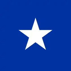 Bandera naval de Chile