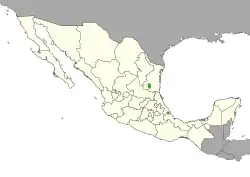 Cephalocereus euphorbioides