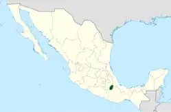 Cephalocereus macrocephalus