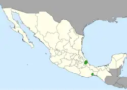 Cephalocereus scoparius