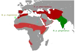 En colores las distintas subespecies