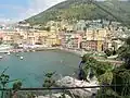 Nervi.
