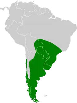 Distribución geográfica del pato picazo.