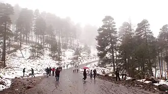 Zinacantepec[105]​