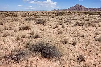 Peloncillo Mountains