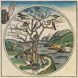 Grabado de las Crónicas de Núremberg (1493).