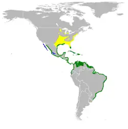      Nidificación      Invernada      Todo el año