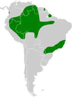 Distribución geográfica del nictibio colilargo.