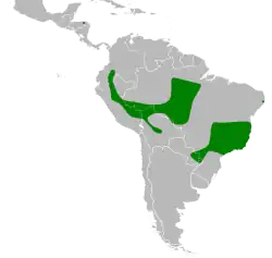 Distribución geográfica del chotacabras ocelado.