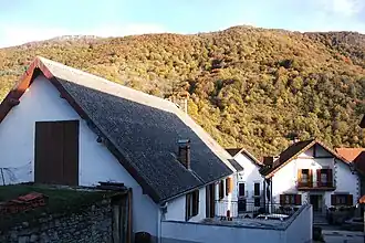 Caserío de Orbaiceta y hayedo al fondo