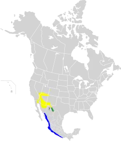      Nidificación      Invernada      Todo el año