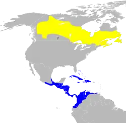 Nidificación Invernada