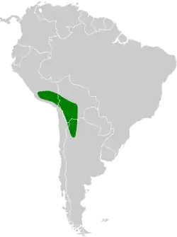 Distribución geográfica del colibrí puneño