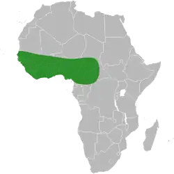 Distribución silvestre. La distribución cultivada es mucho más grande.