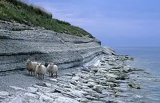 La isla de Osmussaar.