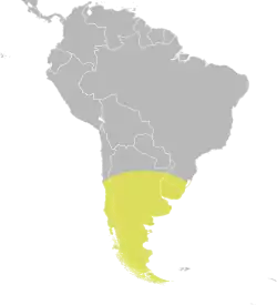 Distribución de Oxyura vittata