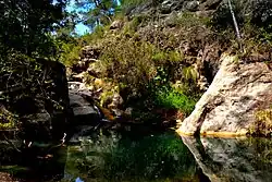 Capçaleres del Foix