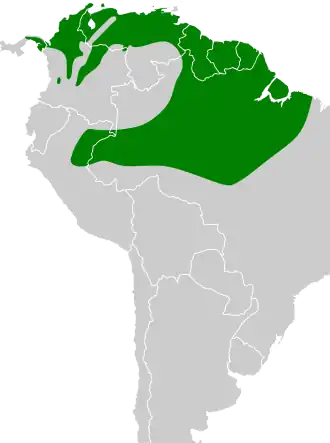 Distribución geográfica del anambé cinéreo.