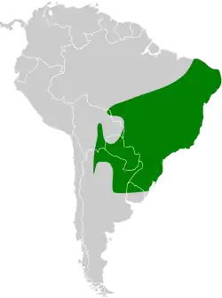 Distribución geográfica del anambé verdoso.