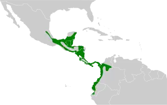 Distribución geográfica del verdillo menor.