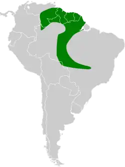 Distribución geográfica del verdillo atrapamoscas.