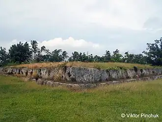 Langi Paepae 'o Tele'a