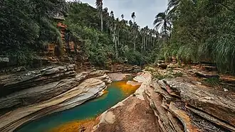 Selva seca El Palmar, Chuquisaca