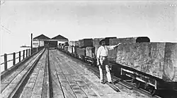 Cargamento de caoba listo para embarcar en 1915. Fotografía de la Pan American Union.