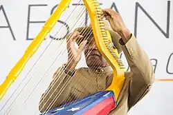 Foto señor ejecutando el arpa tuyera.