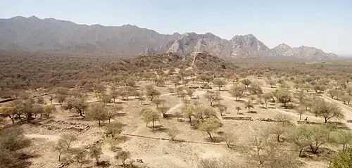 El Shincal de Quimivil desde el Cerro Aterrazado occidental