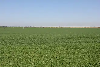 Cultivos de Dehesa de Los Llanos