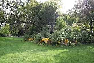 Vegetación del parque.