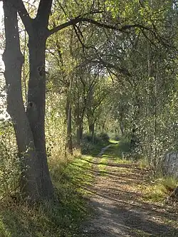 Parque de la Banqueta