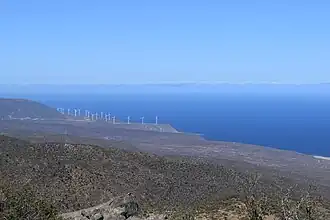 Vegetación xerófita costera en el sector norte del Cordón de Talinay, al fondo el Océano Pacífico.