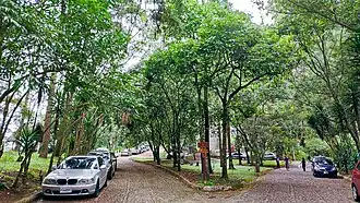 Vista de calle del interior del parque