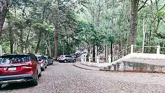 Vista de calle del interior del parque