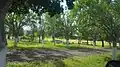 Parque municipal Roberto Navarro G.