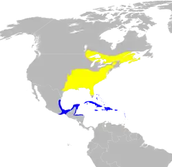 Nidificación Invernada